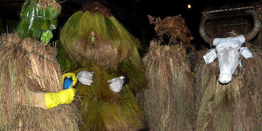 Carnaval dos Moitas chega a São Pedro da Serra pela primeira vez com folião vindo de Rio Bonito de Cima, em Friburgo