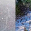 Nova Friburgo enfrenta madrugada gelada e é a segunda cidade mais fria do país nesta quarta-feira