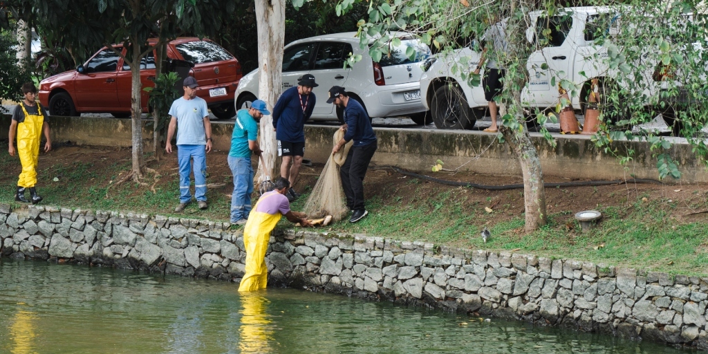 Lago de Lumiar, em Nova Friburgo, passa por serviços de recuperação após mortes de peixes