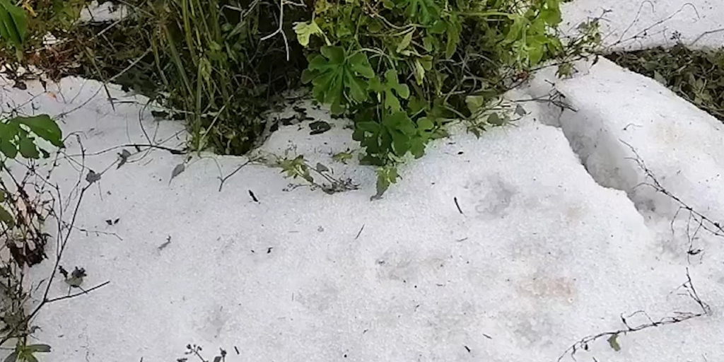 Após chuva de granizo, prefeitura promete ajuda a produtores afetados em Nova Friburgo 