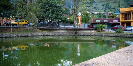 Prefeitura de Nova Friburgo explica o que pode ter causado a morte de quase 100 peixes no lago de Lumiar